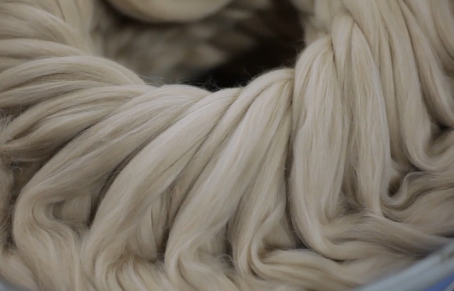 A close-up of beautiful alpaca fibre